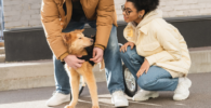 perro con displasia de cadera en silla de ruedas con sus dueños